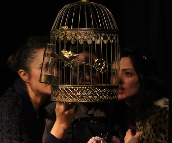 Kozalar - Sahne Görüntüsü 2